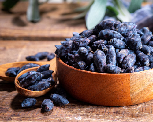 PhytoHeal - NuFitte - Image 11