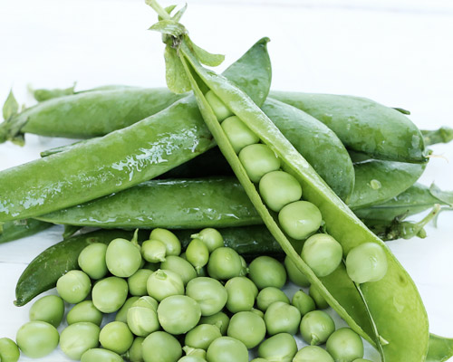 PhytoHeal - NuFitte - Image 7