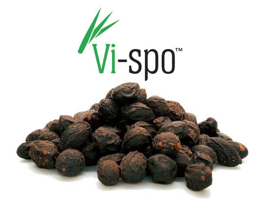 PhytoHeal - NuFitte - Image 8